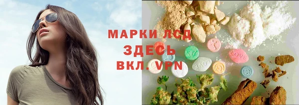 ГАЛЛЮЦИНОГЕННЫЕ ГРИБЫ Алексин