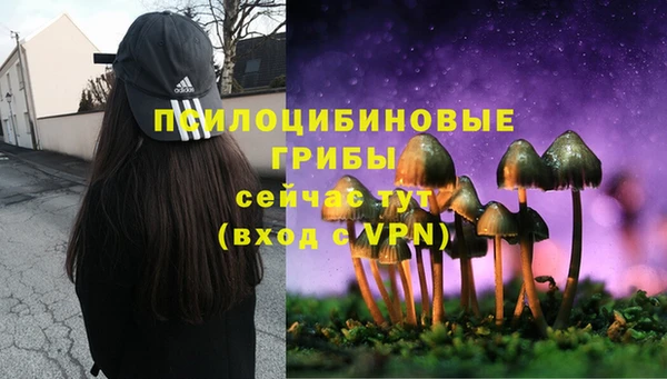 прущие крисы Алзамай
