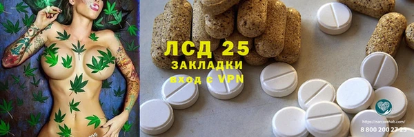 прущие крисы Алзамай