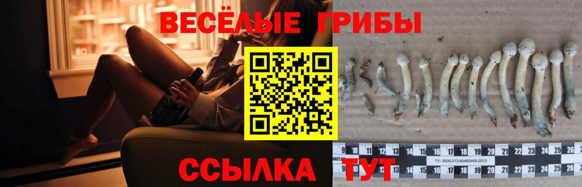 Галлюциногенные грибы MAGIC MUSHROOMS  Вход с VPN  Псилоцибиновые грибы Psilocybine cubensis  Югорск 